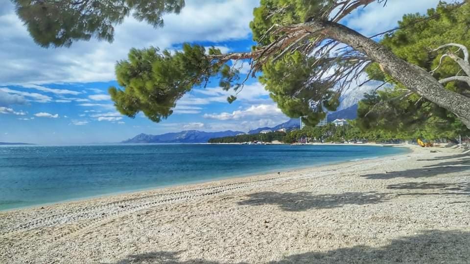 Apartment Ivana Makarska Esterno foto